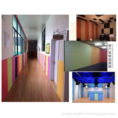 Collision resistant sound proof PET panel